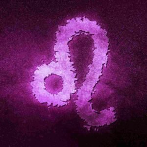 Horóscopo de hoy para Leo - 23 de julio - 22 de agosto